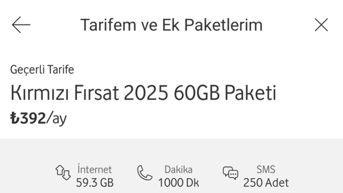 Aylık telefon faturanız ne kadar?