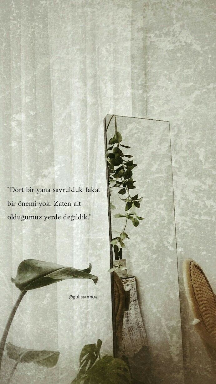Olduğunuz yere ait hissediyor musunuz?