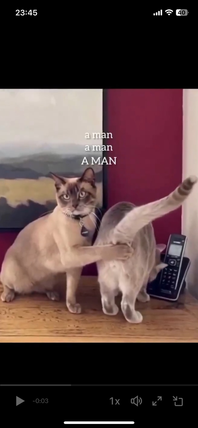 İlişkide kıskanç mısınızdır?
