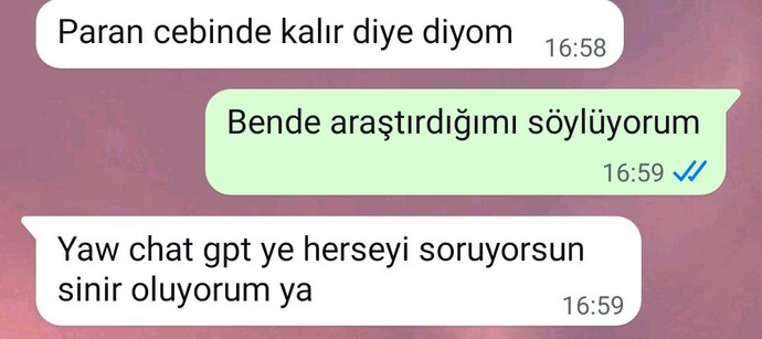 Her konuyu chat gpt ye sorar mısınız?