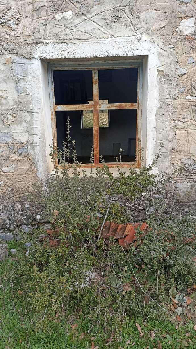 Issız bağ evinde yaşayabilir misin?