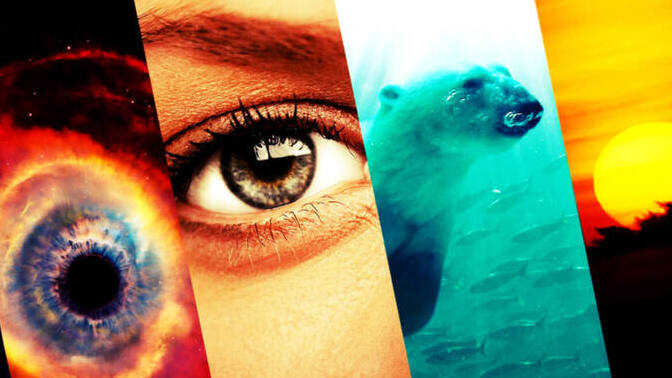 Sizde en çok merak uyandıran belgeseller hangisidir?