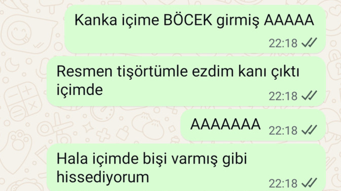 Bir böcek olsanız hangisi olacağınızı söyleyeyim mi?