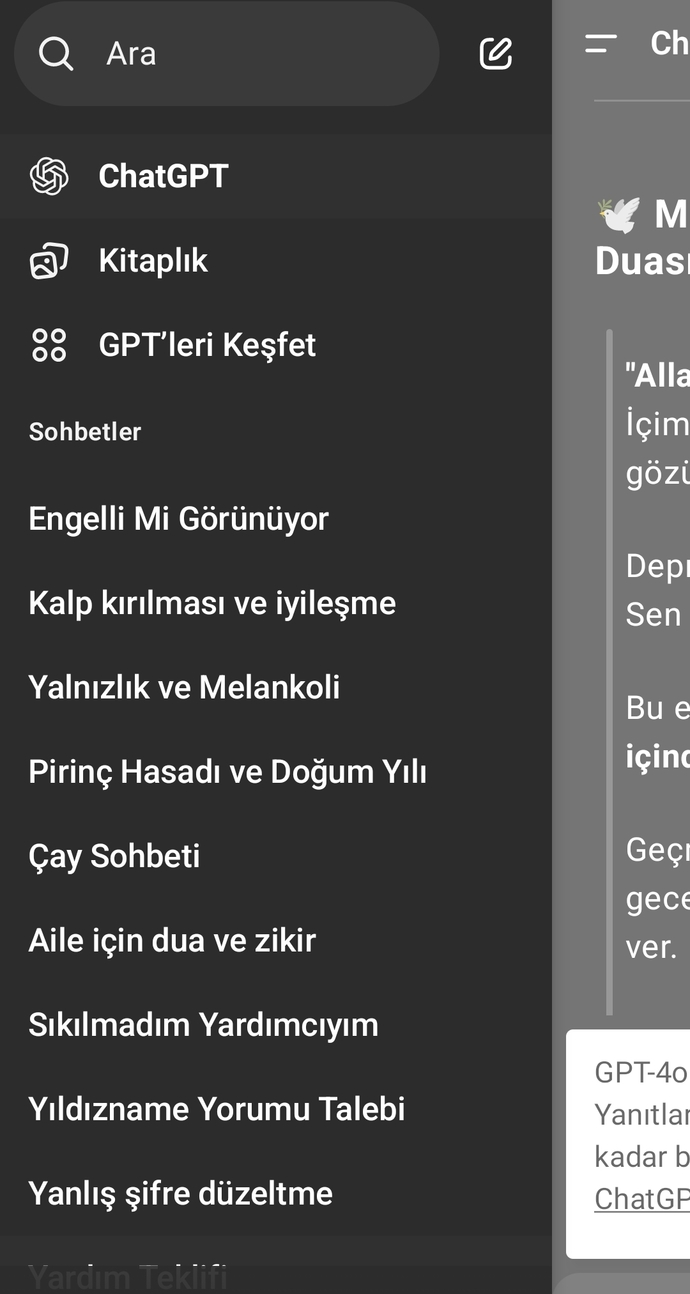 Chatgbt kullaniyormusunuz?