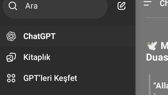 Chatgbt kullaniyormusunuz?