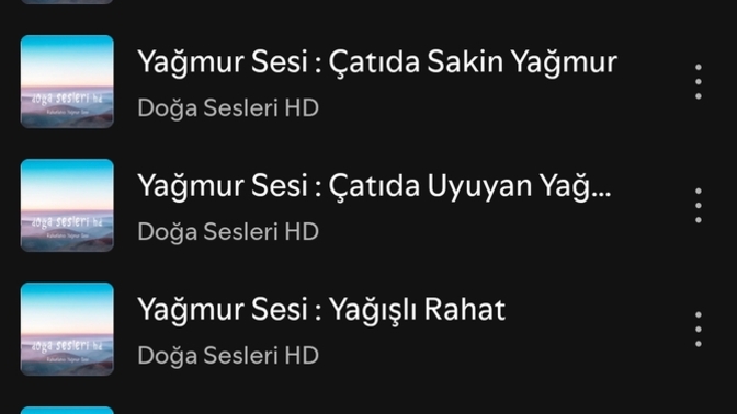 Uykunuzu getiren bir ses var mı?