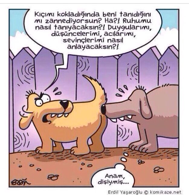 Partnerler arasında cinsel istek farklılıkları nasıl yönetilir?
