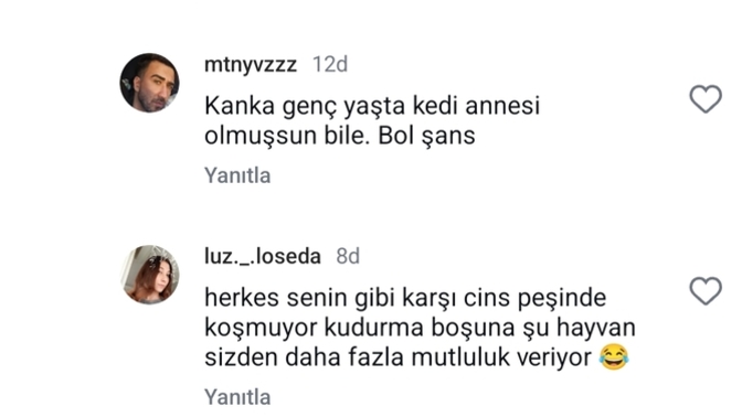 Erkeklerin kedilerle ne alıp veremediği var hepsi kedi beslememe takmış durumda size ne yani?