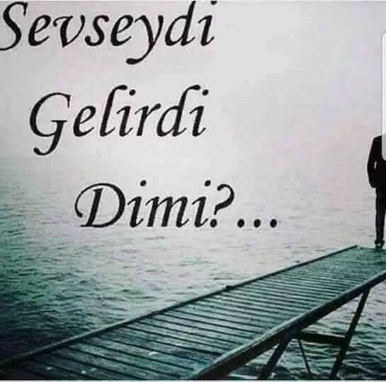 Sevseydi gelirdi dimi?