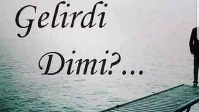 Sevseydi gelirdi dimi?