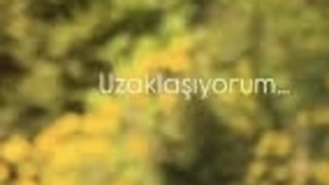 Neyseleriniz mi daha çok keşkeleriniz mi?