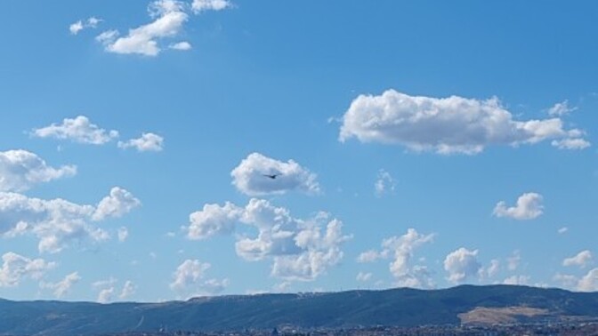Aşk sadece insanlara karşı mı hissedilir?