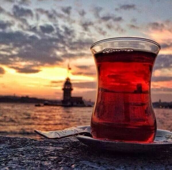 Yapıp içtiğiniz en son içeceği ben içseydim, ben ne içmiş olurdum?