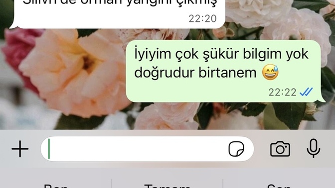 Yazmak isteyen bir şekilde yazıyor mu?