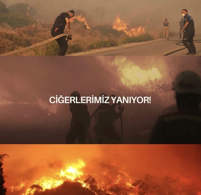 Hala neden kimse yardım etmiyor?