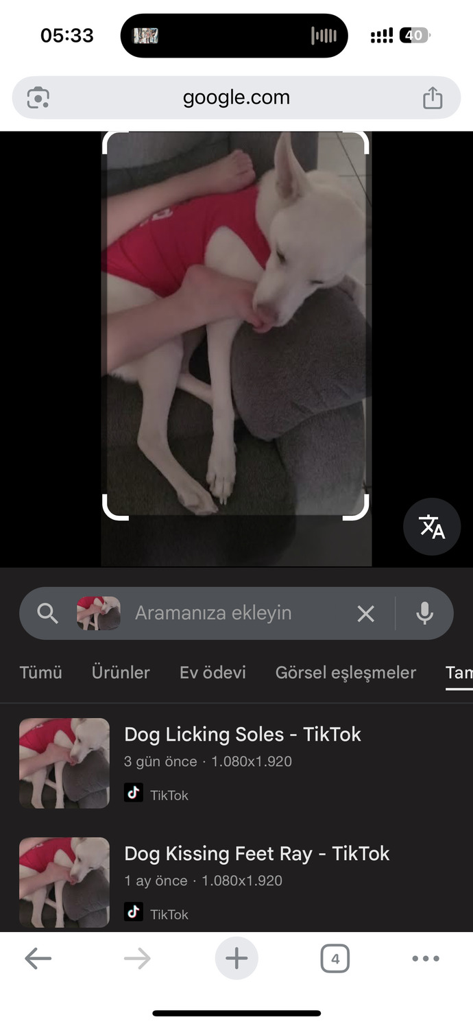 Allah Allah ya neden böyle yapıyor ki sahibi bile ilk defa sana yapıyor dedi?