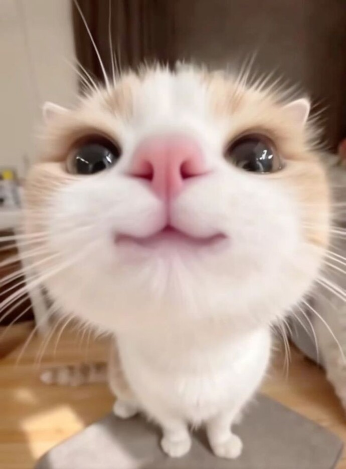 Cuma mesajı atmayanları listeye yazıyorum aşklarım kahve rüşvetiyle paçayı kurtarırsınız belki 😂 Kimler katılıyor bakimm?