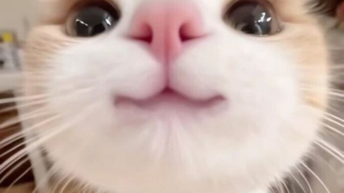 Cuma mesajı atmayanları listeye yazıyorum aşklarım kahve rüşvetiyle paçayı kurtarırsınız belki 😂 Kimler katılıyor bakimm?