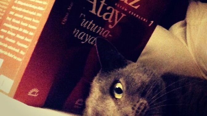 Her şeyi içine atan biri misin?