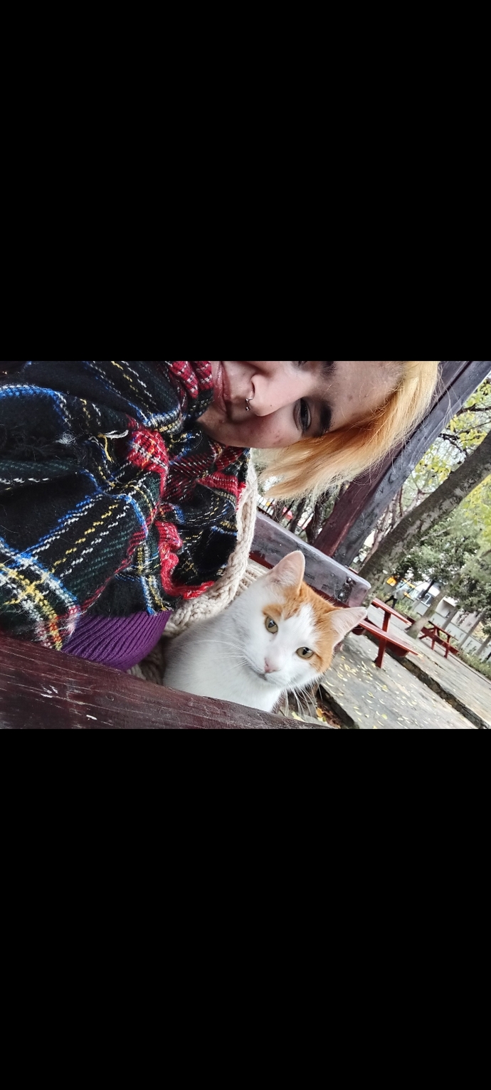 Bu kedi kuduz olabilir mi? ?