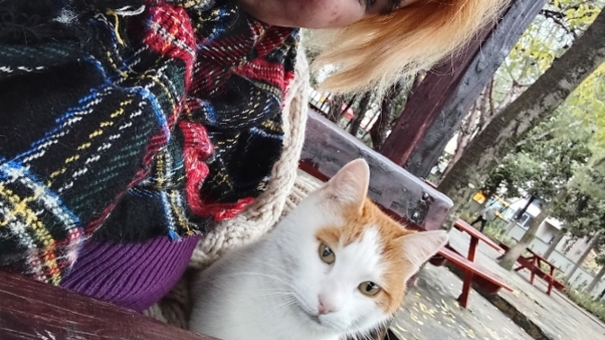 Bu kedi kuduz olabilir mi? ?