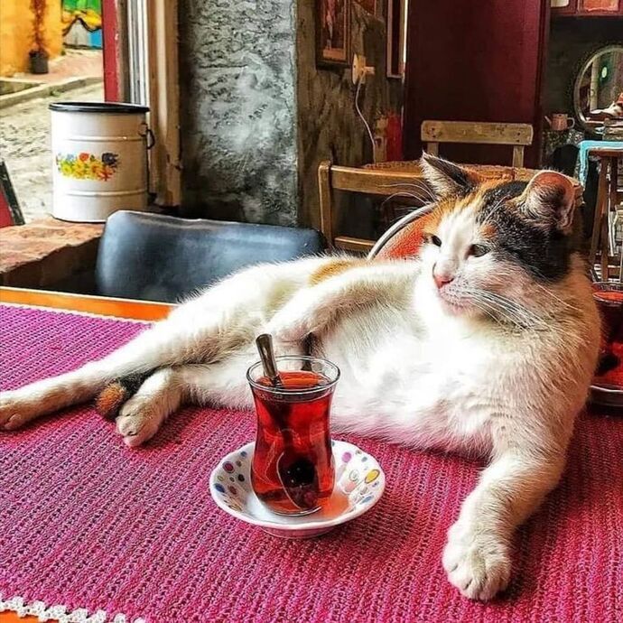 Hayalinizdeki kadını/adamı anlatın desem?