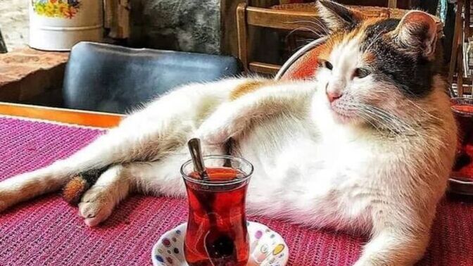 Hayalinizdeki kadını/adamı anlatın desem?