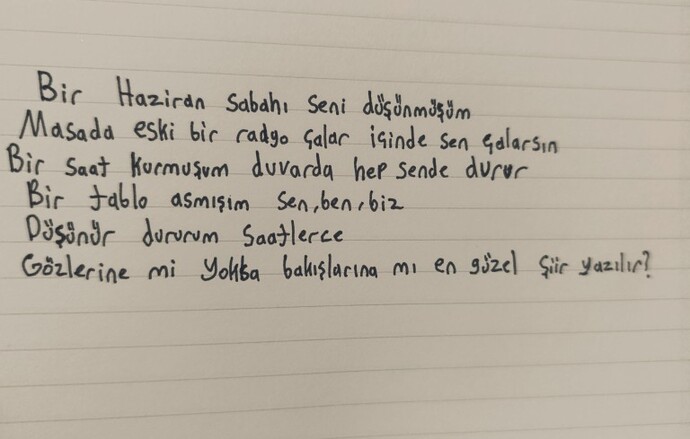 Ben yazdım şiirim nasıl?
