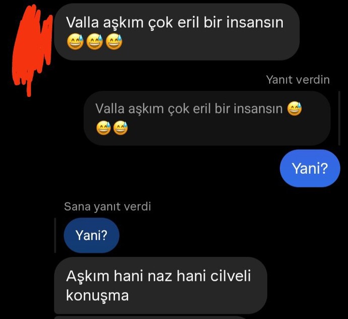 Sevgilim bana erilsin dedi?