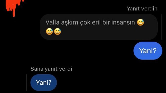 Sevgilim bana erilsin dedi?