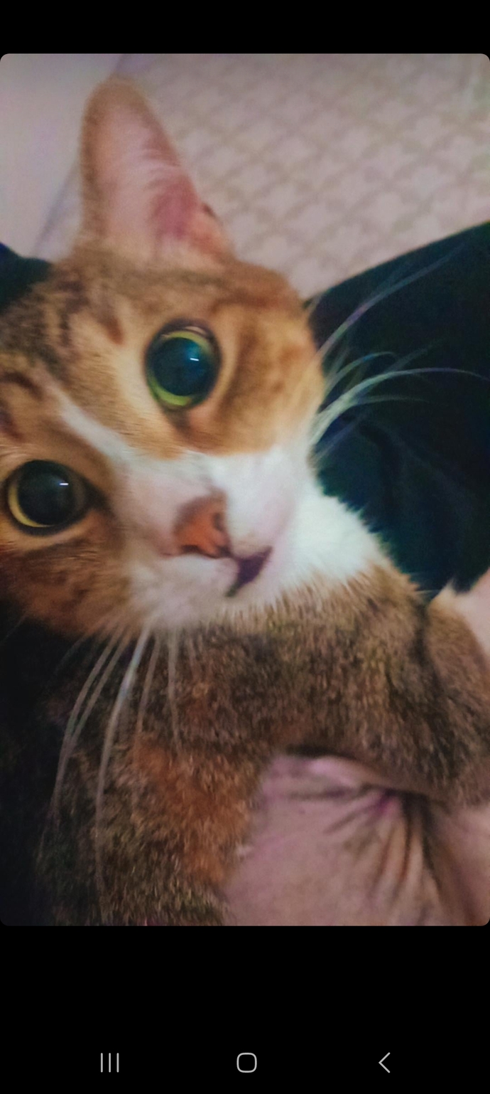 Can dostunuz var mı ?