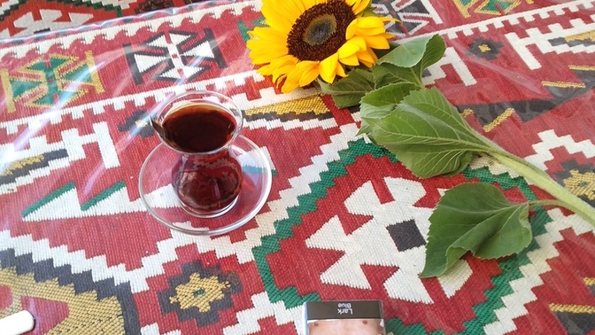 Biz bayanlar neden erkekler dururken birbirimize aşkım , canım , cicim diyoruz sapıkmıyız biz acaba 😂?