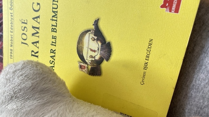 Tam şu an elinizde ne var?