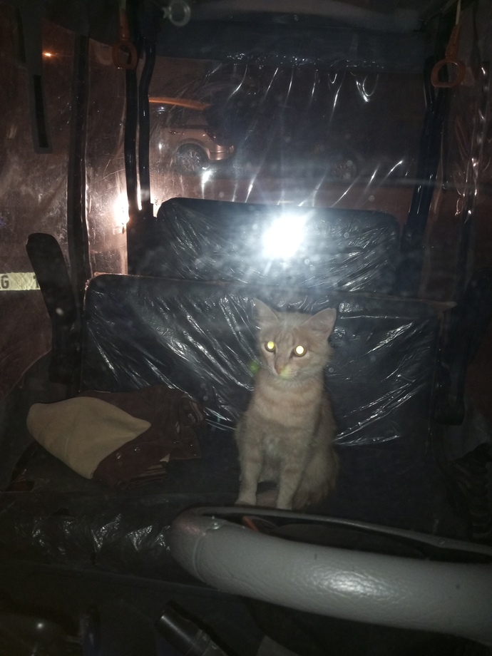 Nasıl ama 🙂