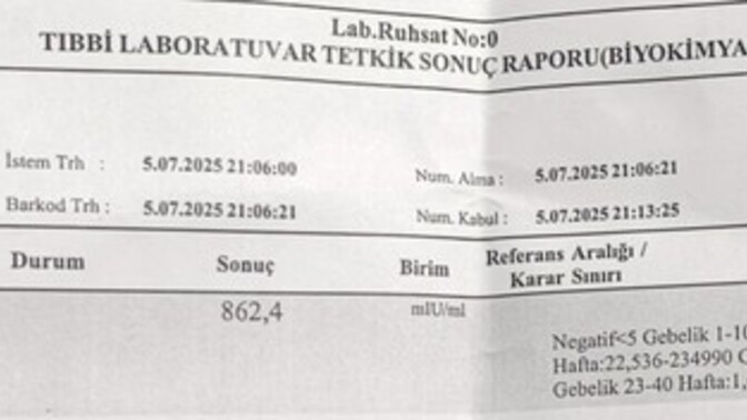 Dünyanın en özel yaşadığım an hamileyim beta değerim 862,4 çıktı?