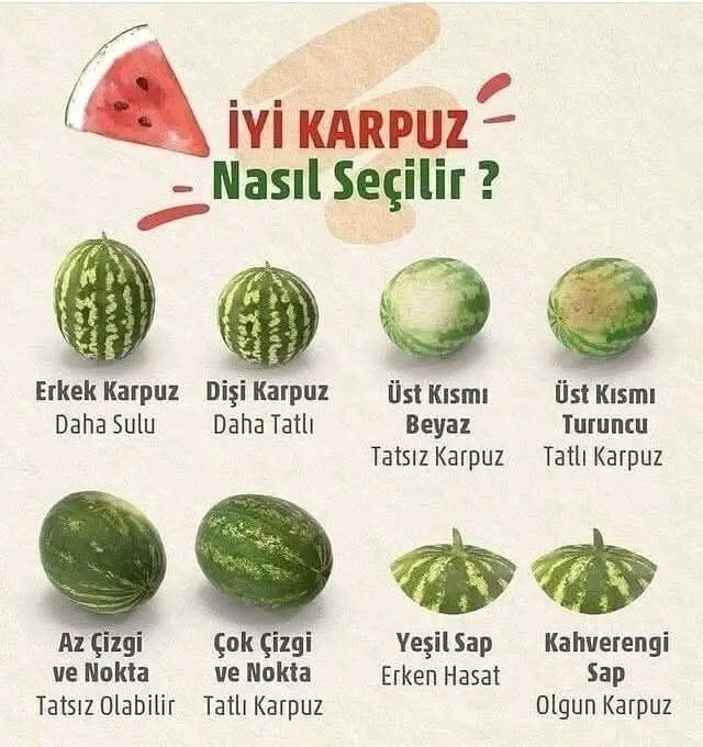İyi karpuz seçer misin?