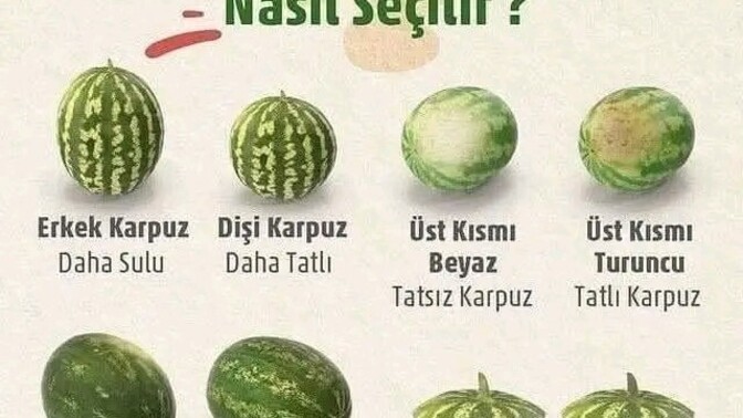 İyi karpuz seçer misin?