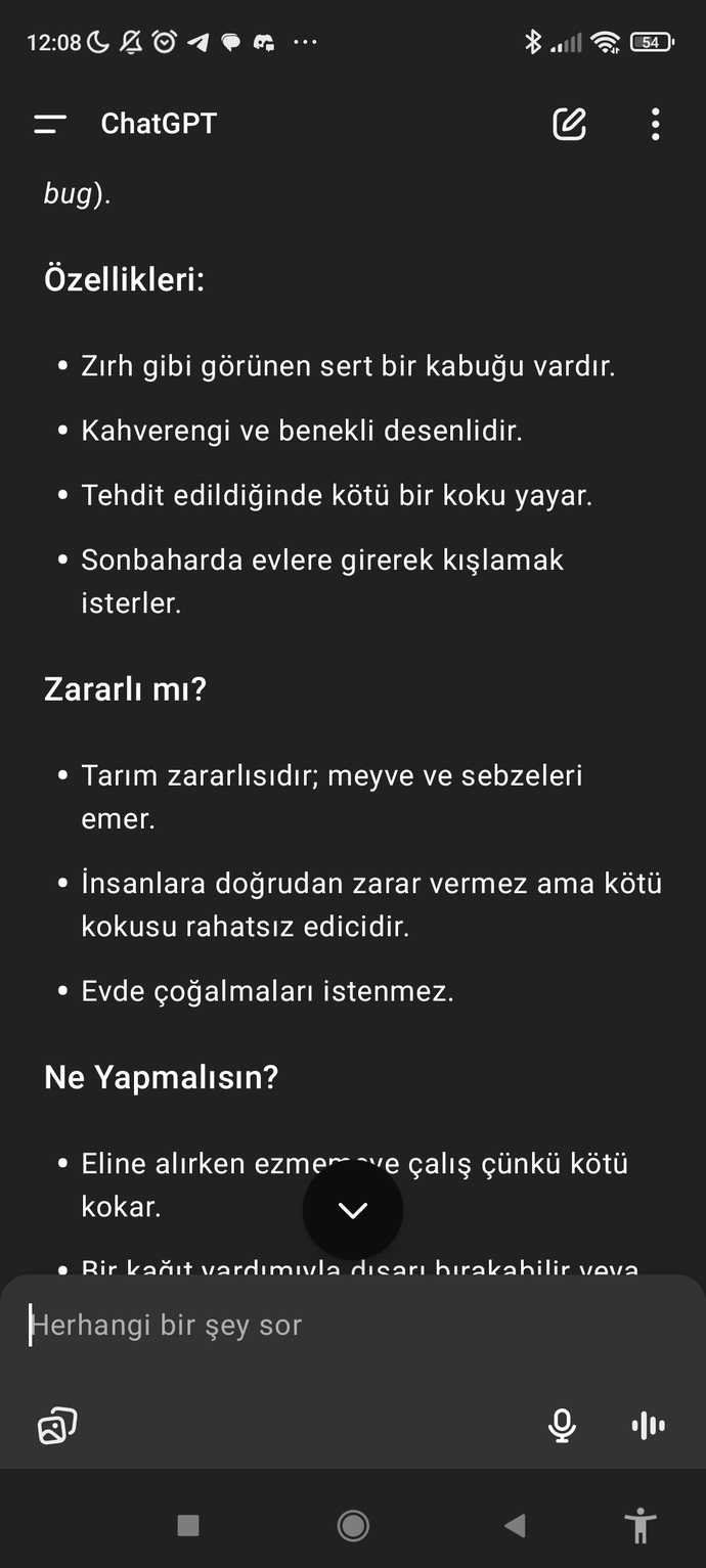 Çektiğim böceği chatgbt ye sordum böyle yapan var mı acaba?