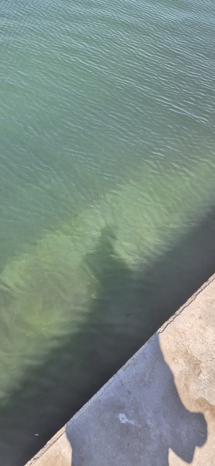 Plajda bikinili kızlara bakmam bana günah olur mu?