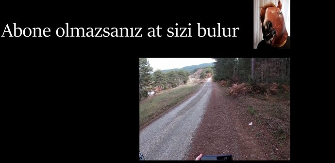 YouTube da Kardeşimi Eğitiyorum kanalını izlediniz mi nasıl Kanal sizce ve abone oldunuz mu?