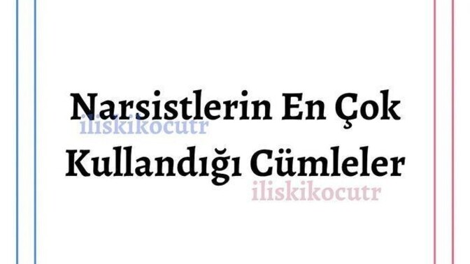 Narsitlerin en çok kullandığın cümleler nedir?