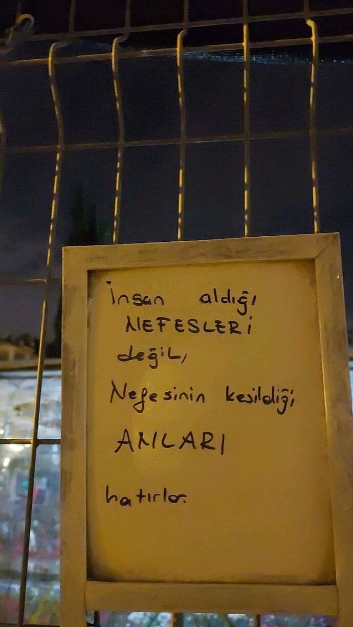 Şu ana kadar öğrendiğin en şaşırtıcı şey neydi?