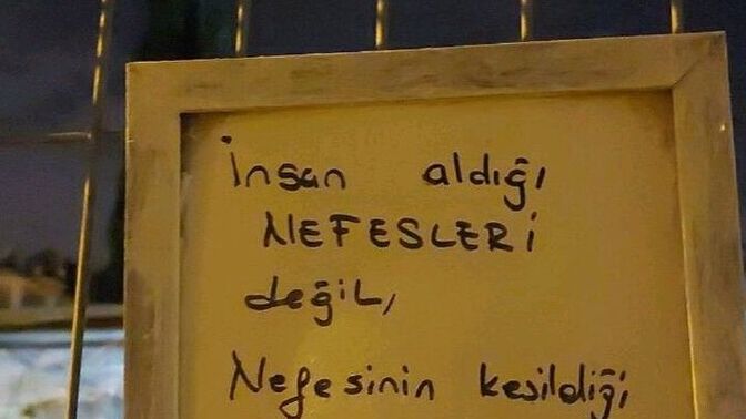 Şu ana kadar öğrendiğin en şaşırtıcı şey neydi?