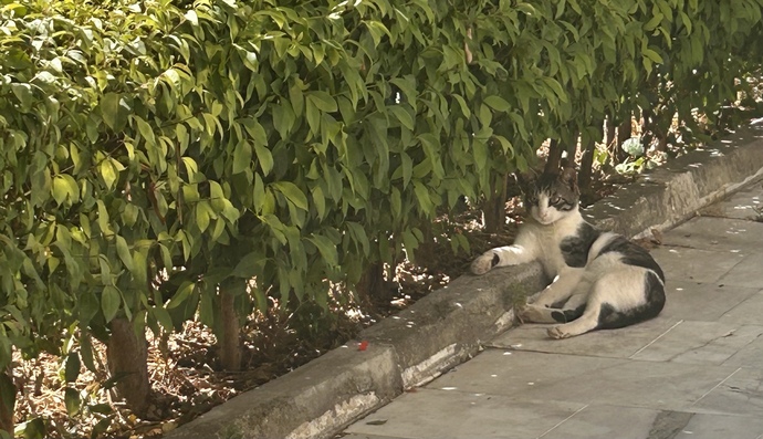 En son neyi uzun uzun düşündünüz?