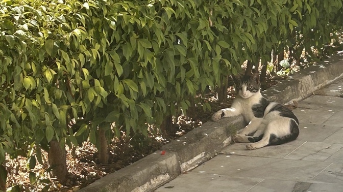 En son neyi uzun uzun düşündünüz?