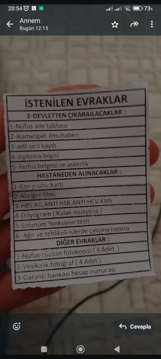 Annemin bana bulduğu işin istedikleri?