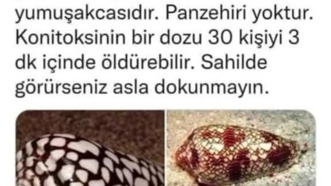 Bu durum daha nereye kadar böyle gidecek?