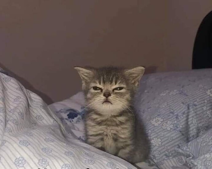 Sabah kaçta kalacaksınız?