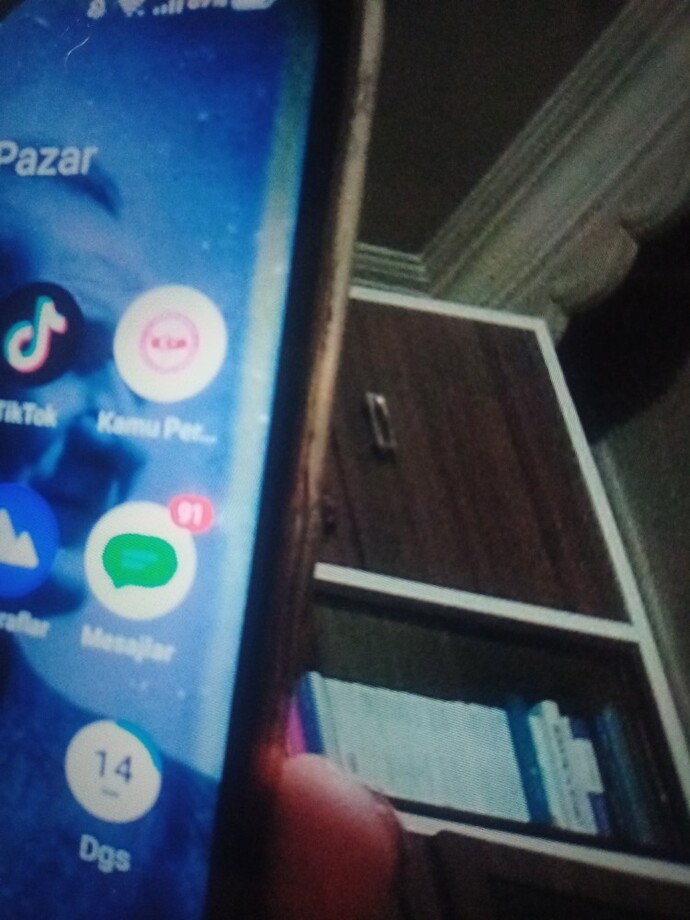 Ekran böyle oldu ne yapabilirim ilerler mi?