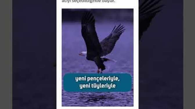 Değişime açık mısınız ?
